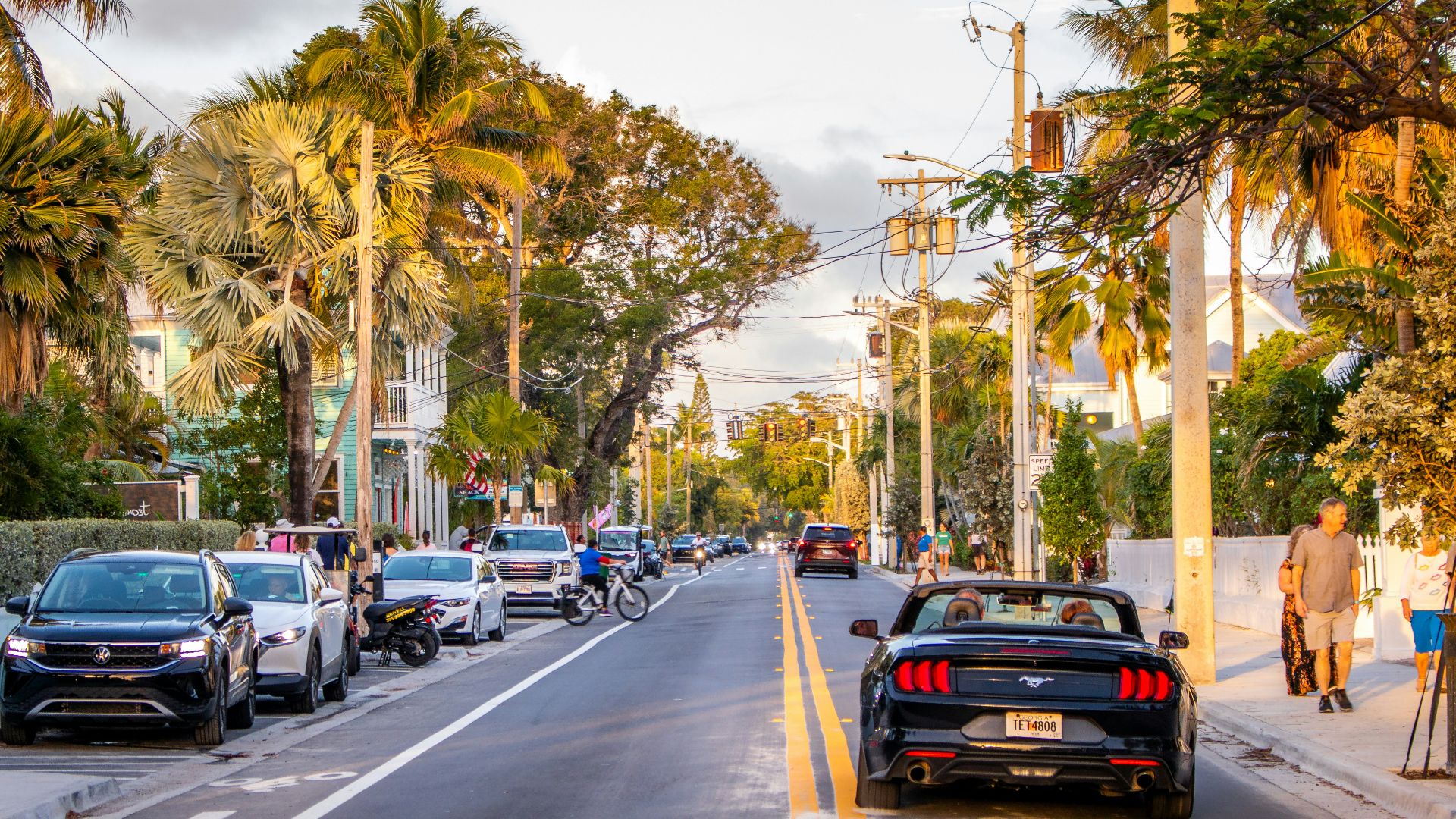 Cars parked along a street lined with palm trees