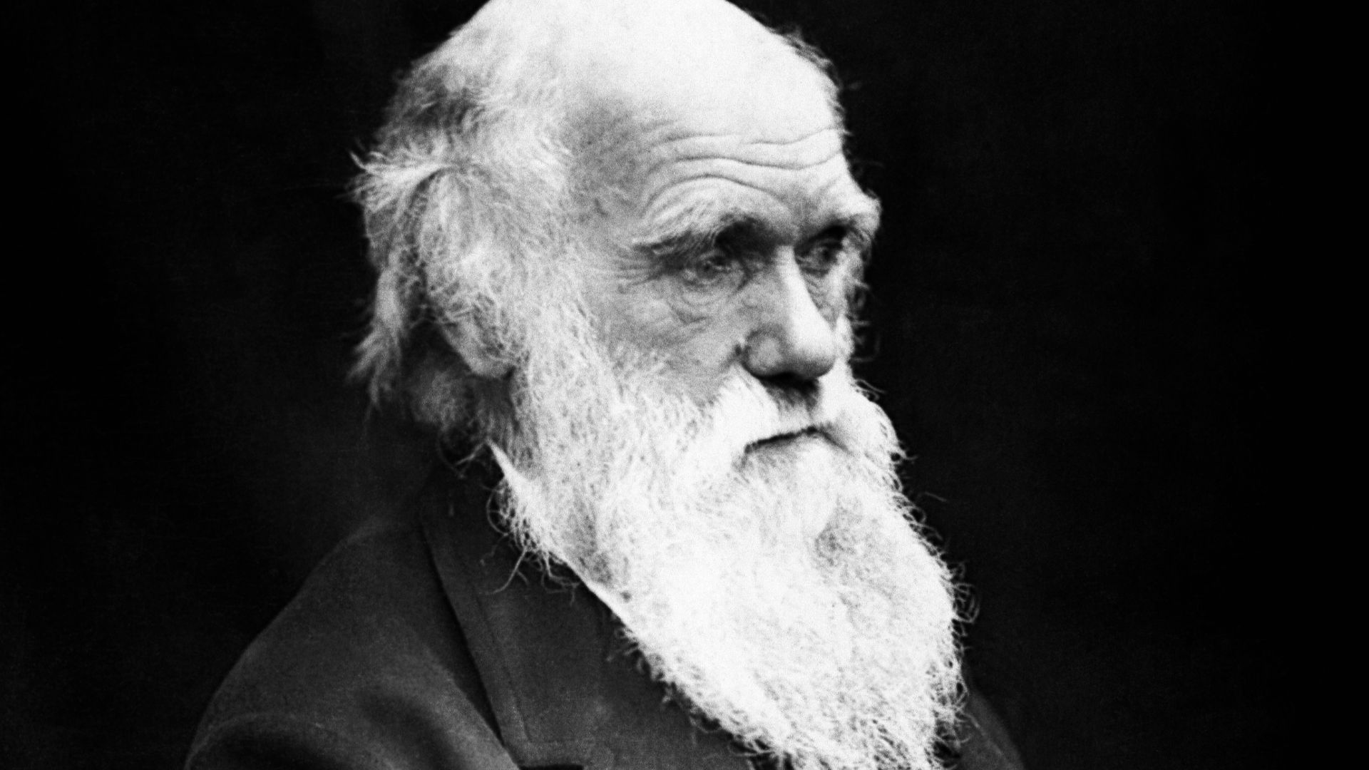 Charles Darwin (1809–1882) in his later years. This image is the correct orientation. Darwin's mole was on the right side of his nose.