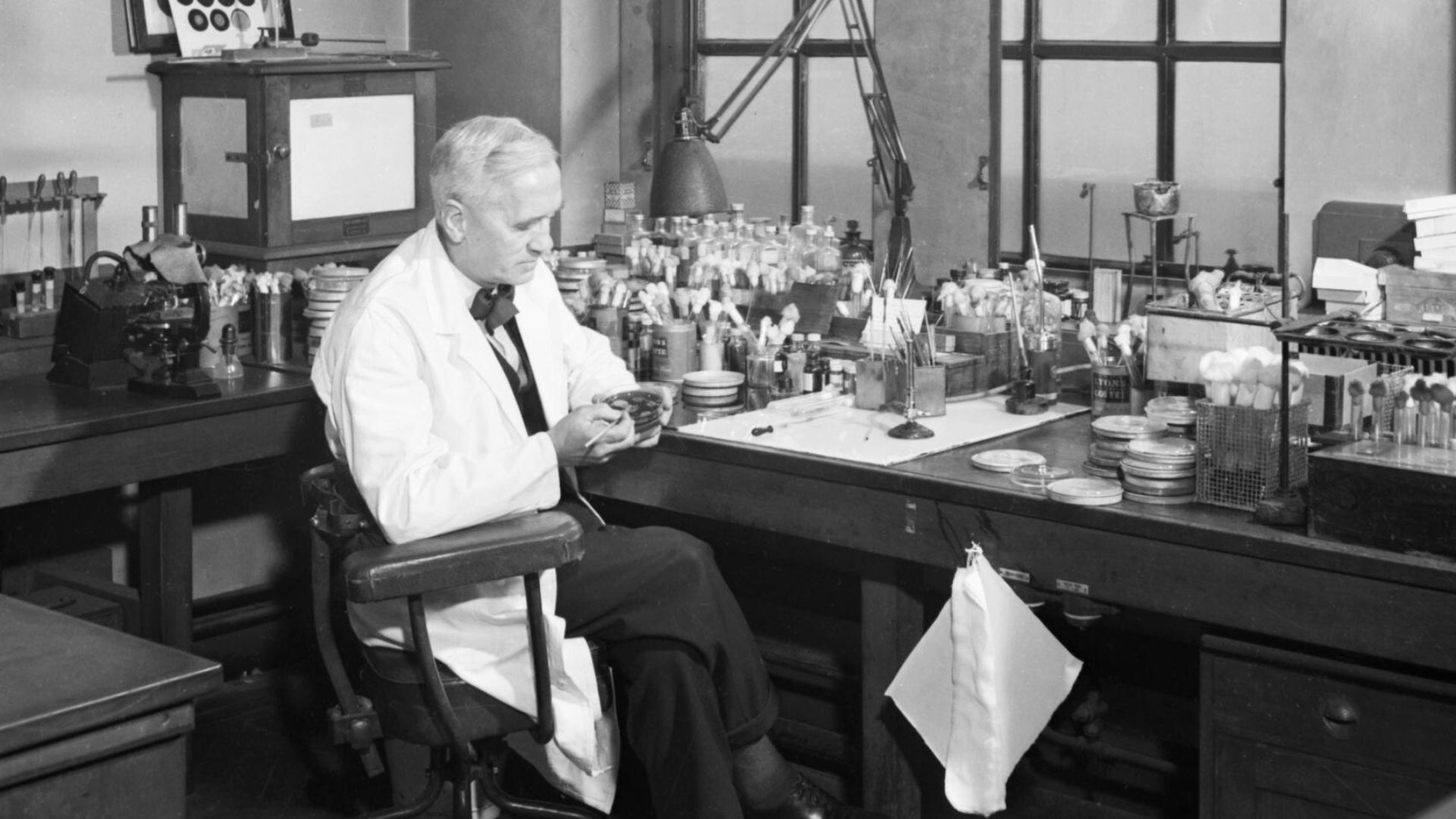 Professor Alexander Fleming at work in his laboratory at St Mary's Hospital, London, during the Second World War.
Professor Alexander Fleming at work in his laboratory at St Mary's Hospital, London.  Fourteen years after his discovery of penicillin, he is