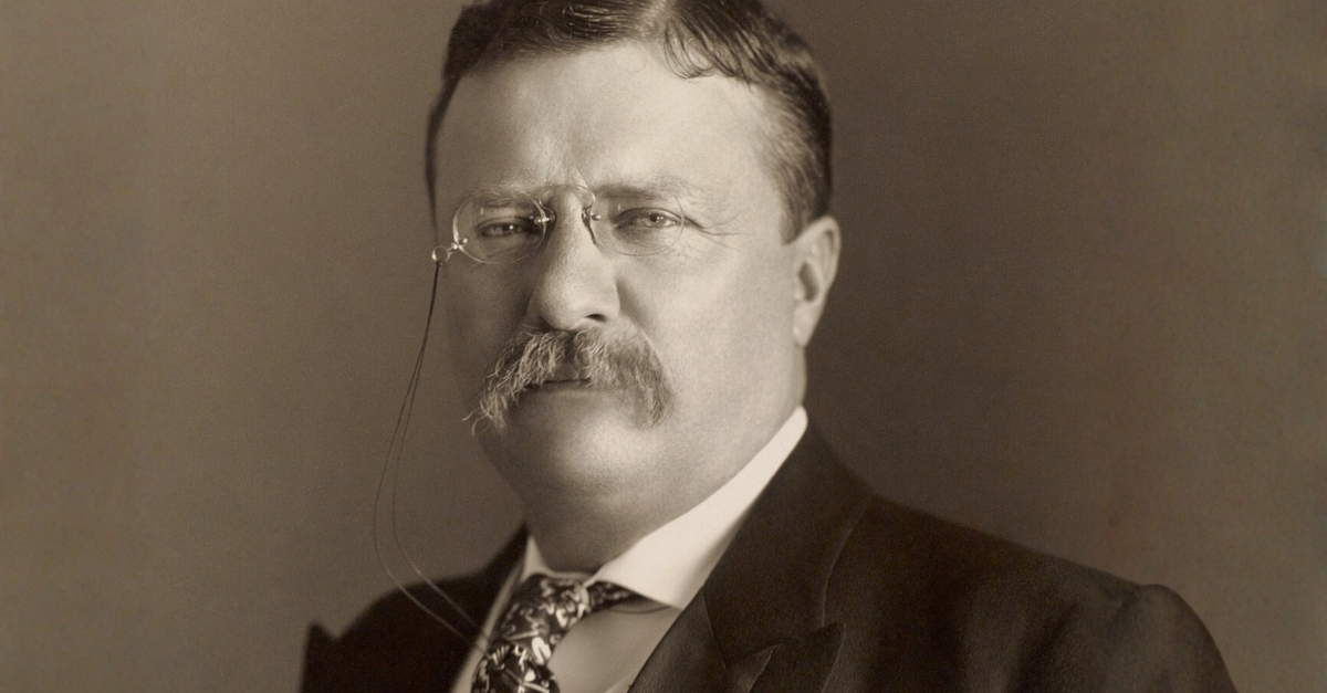 Photograph of Theodore Roosevelt showing head and shoulders