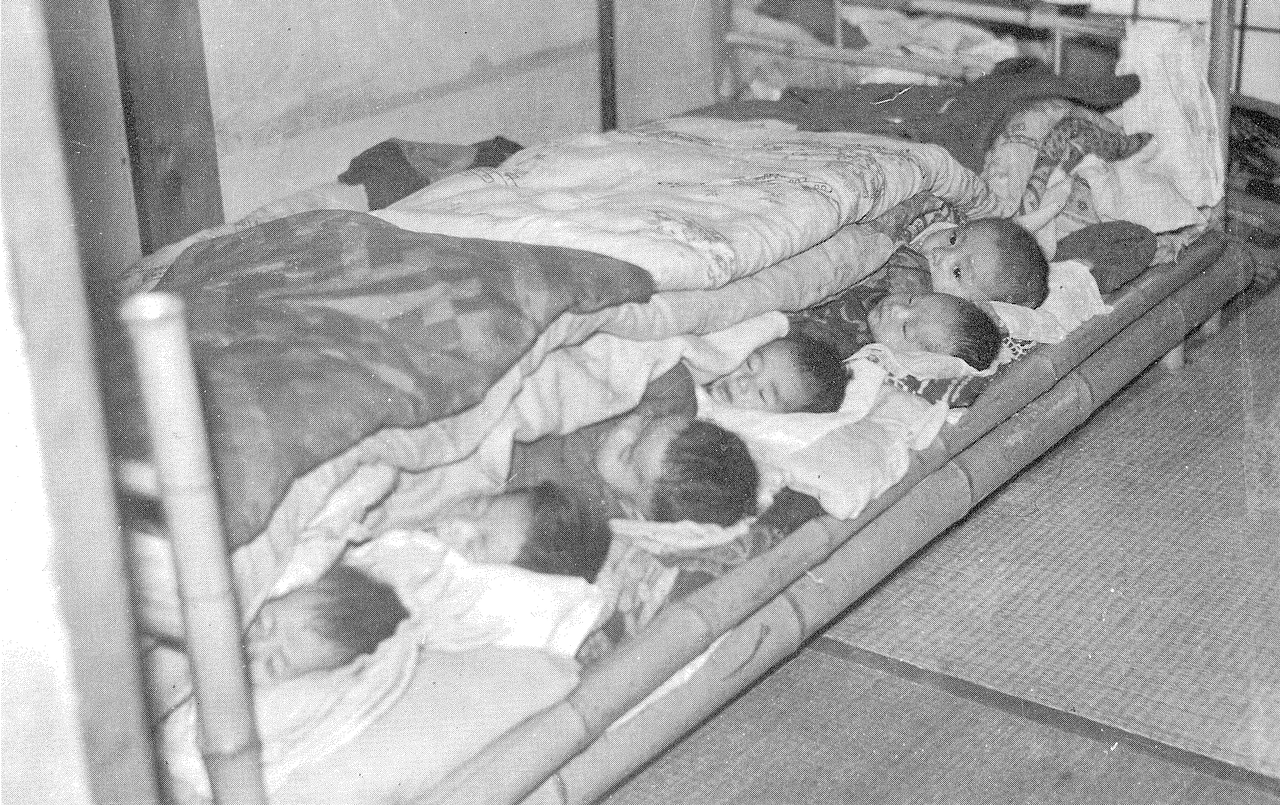 Kotobuki San'in Survivors