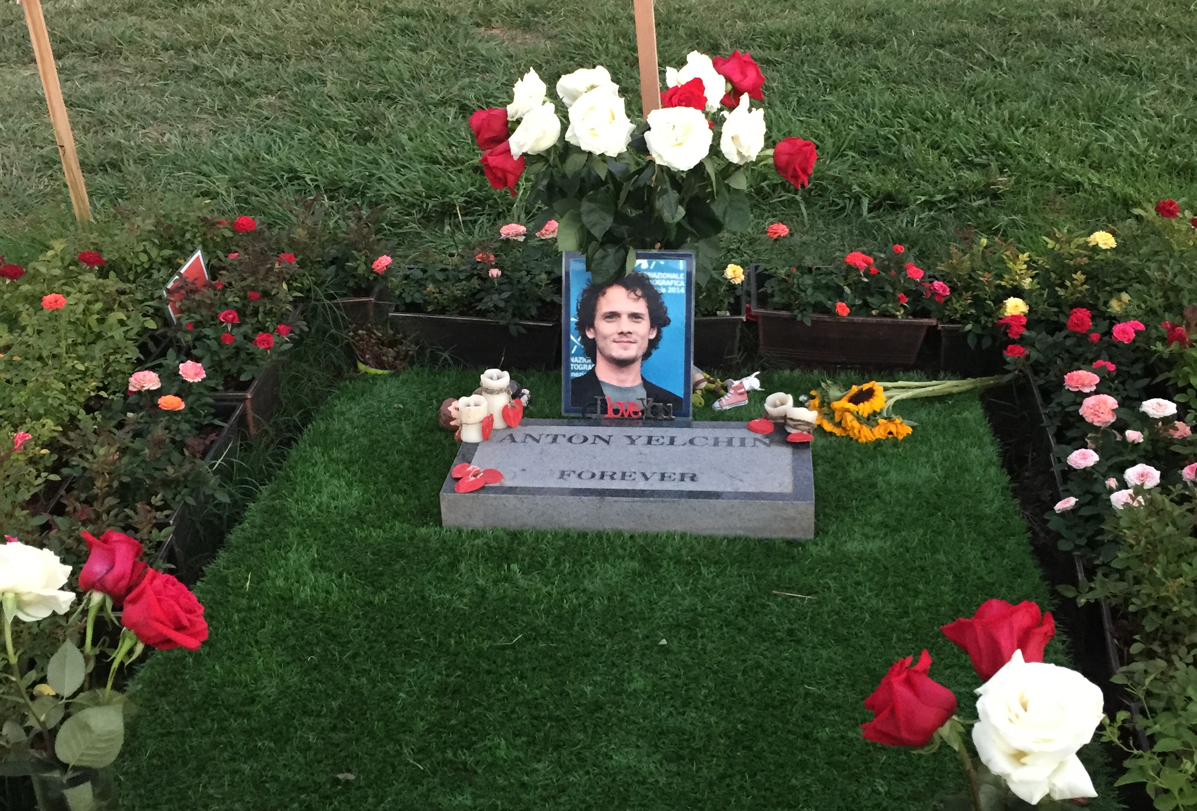 Yelchin's temporary gravestone