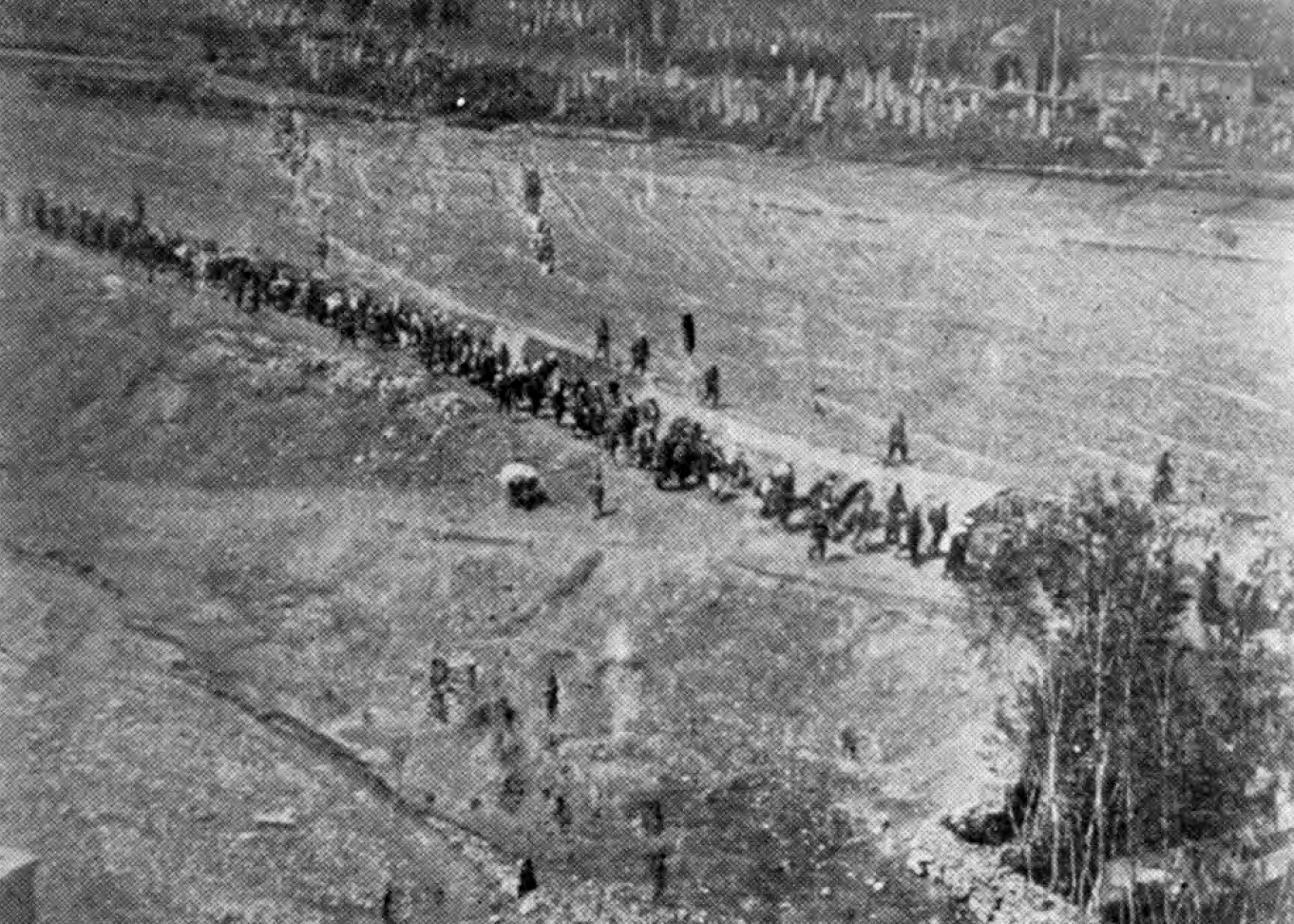 The Armenian Genocide