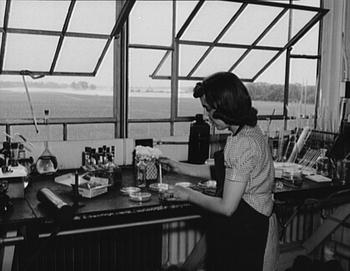 Medical personal doing research