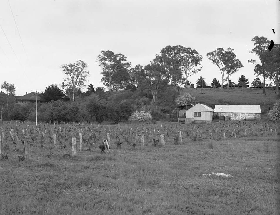 Engineering and Water Supply - Farm Buildings