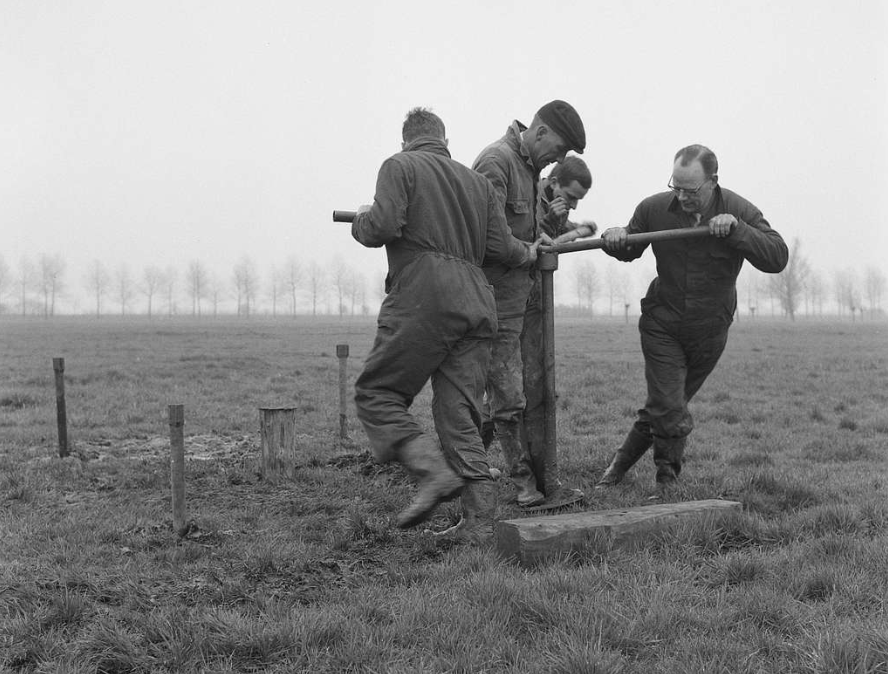 Men working in the field