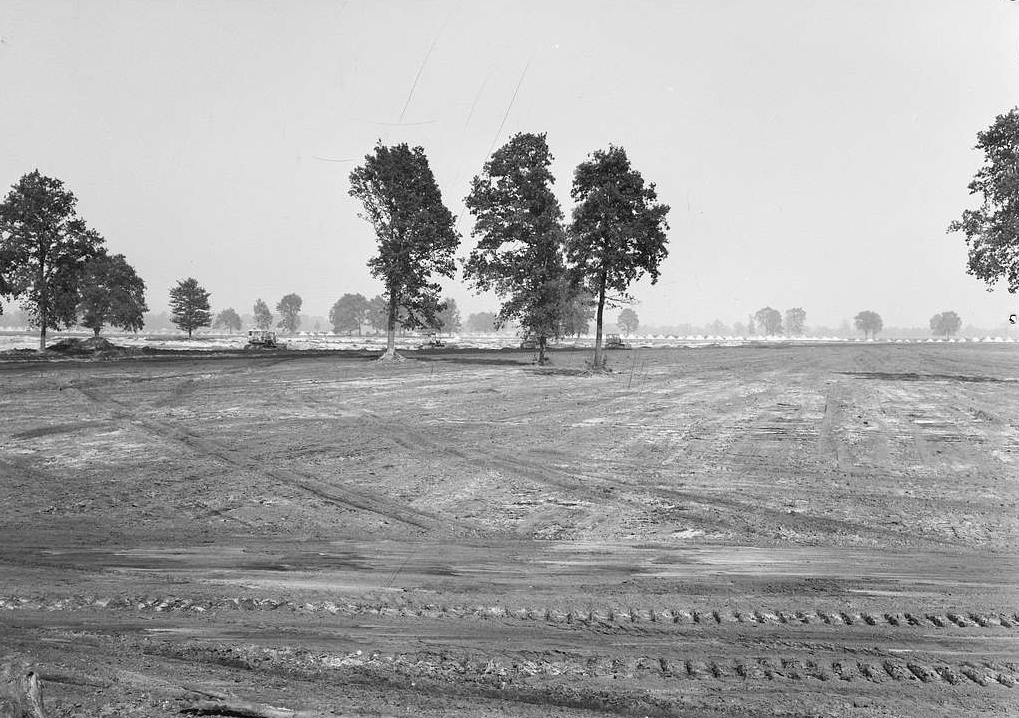 Vehicle tracks in a field