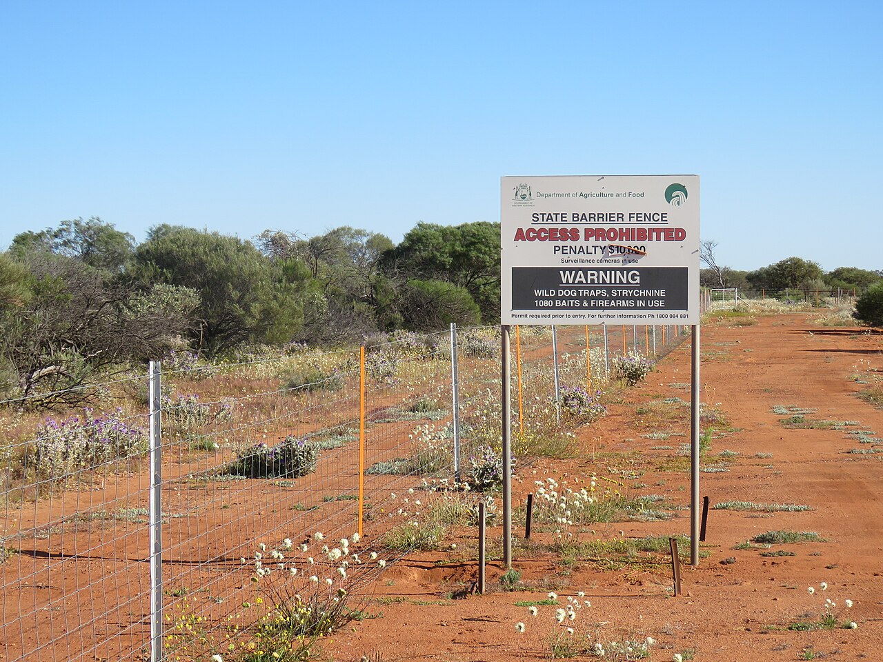 Rabbit Proof fence south of Yalgoo