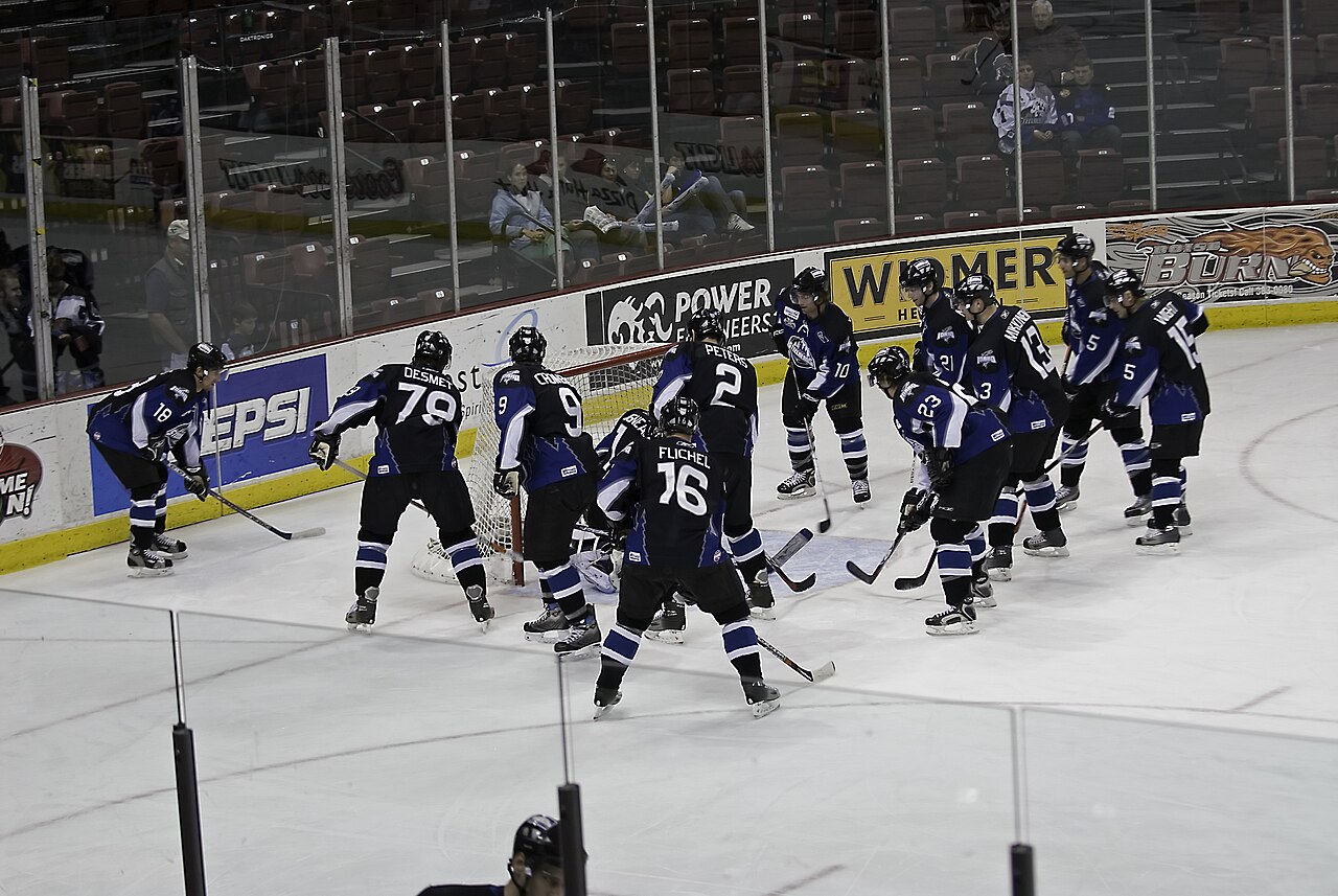 Idaho Steelheads NHL