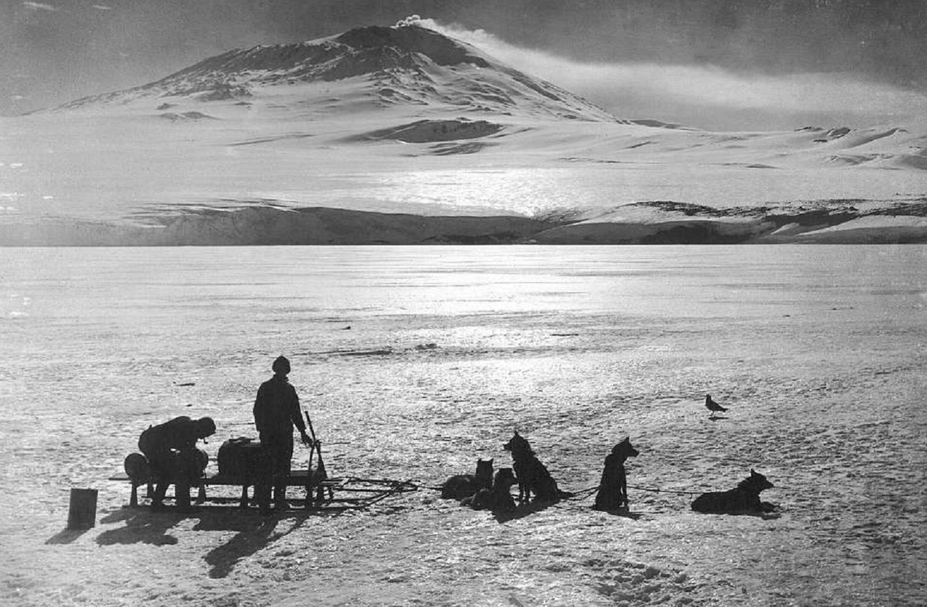 A dog-sledge team with Erebus in the background - 1911
