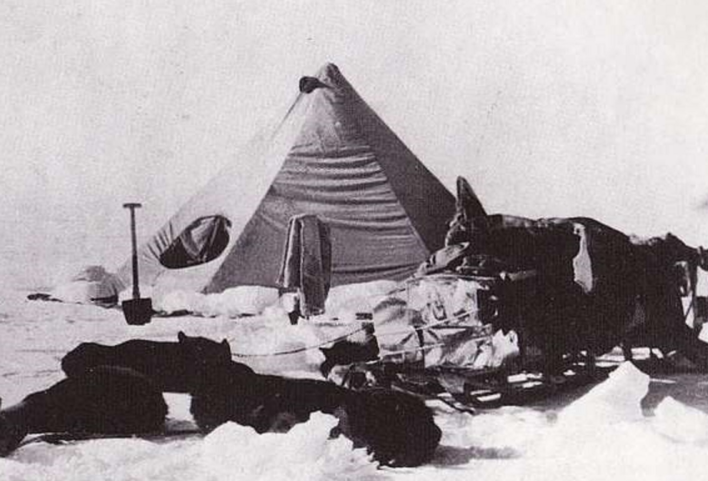 A temporary camp of the Terra Nova Expedition with supplies, sled dogs and tent. - 1913