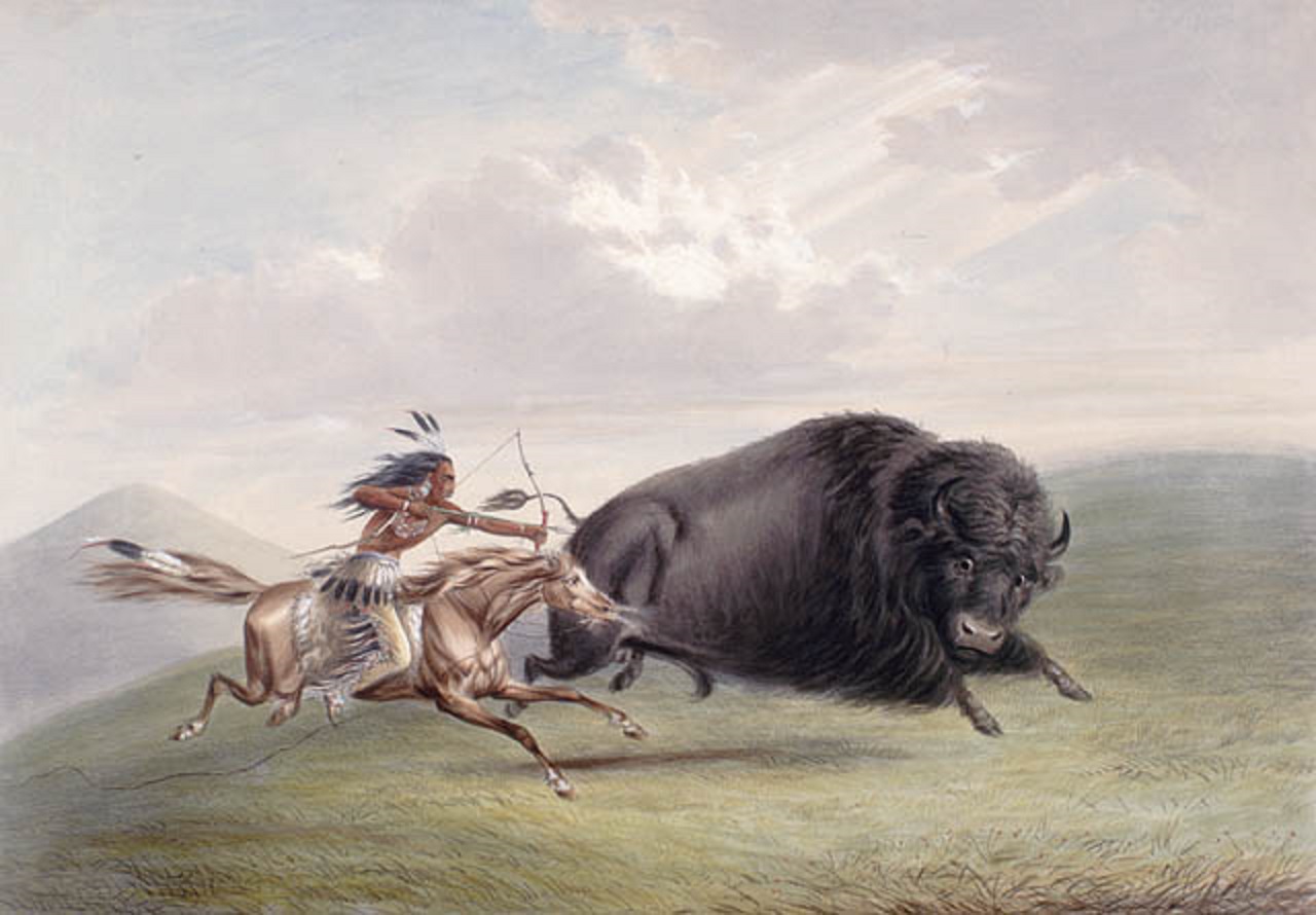 Hunting Bison in USA by Indian.