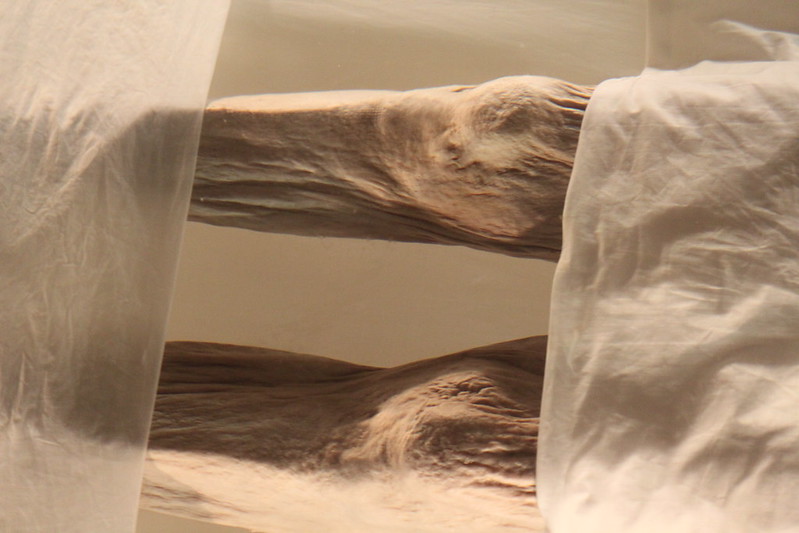 Corpse Of Lady Dai, Xin Zhui