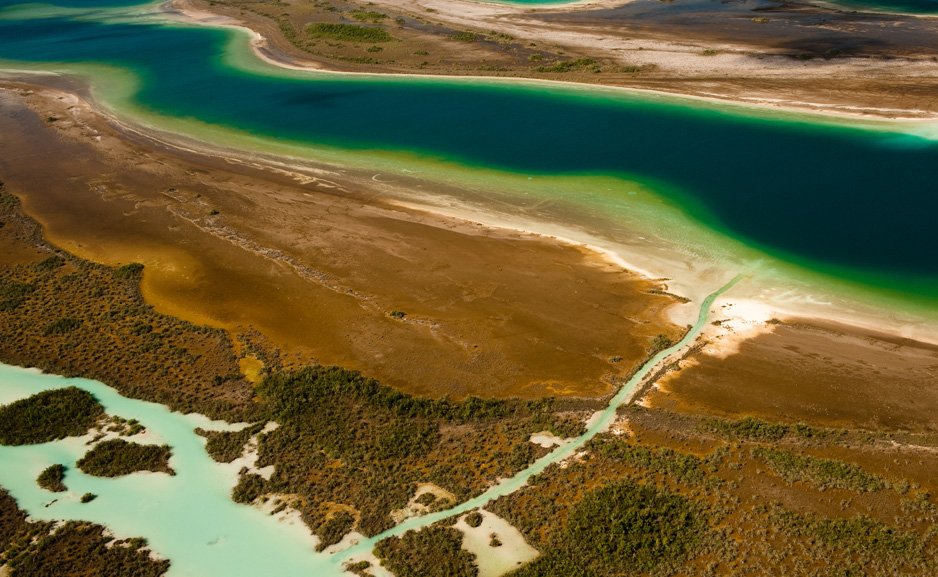 Aerial Photo of Wetland in Quintana Roo