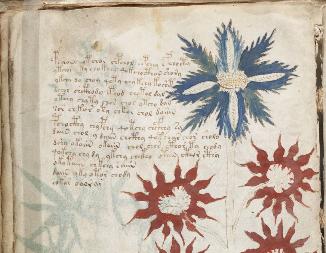A page from the mysterious Voynich manuscript