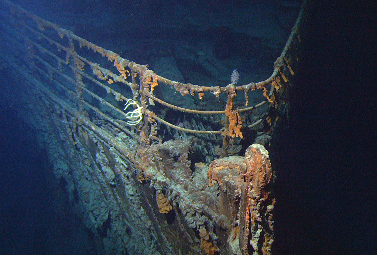 Titanic Wreck Bow