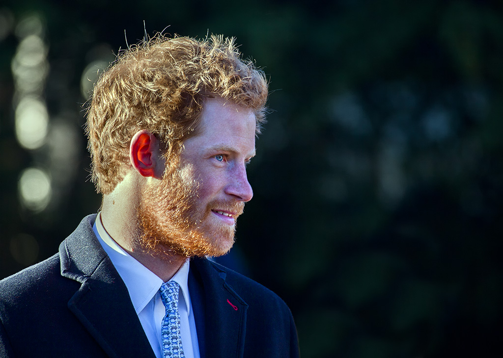 Portrait Photo of Prince Harry in a blue suit