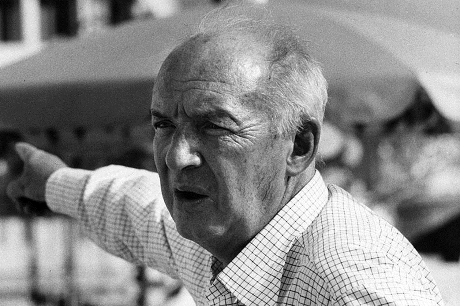 Portrait of Vladimir Nabokov - 1973