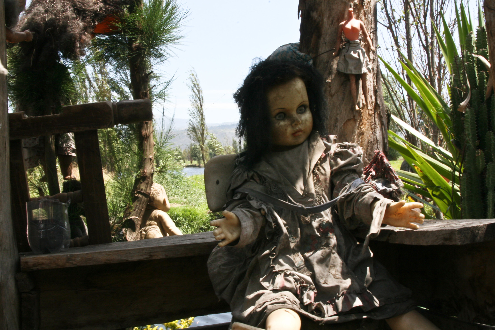 Island Of The Dolls/Isla de la Muñecas