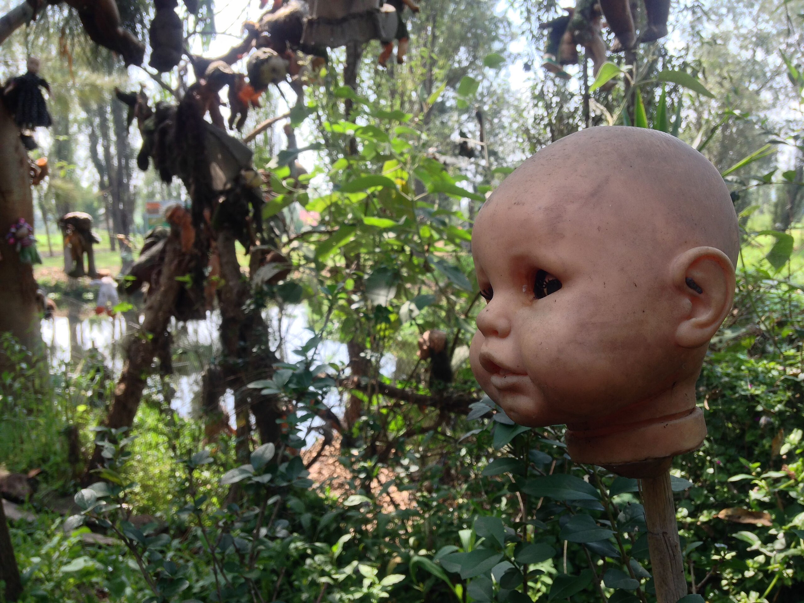 Island Of The Dolls/Isla de la Muñecas