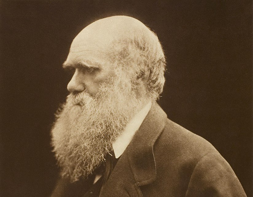 Grayscale Carbon print of a photograph of Charles Darwin in a dark outfit