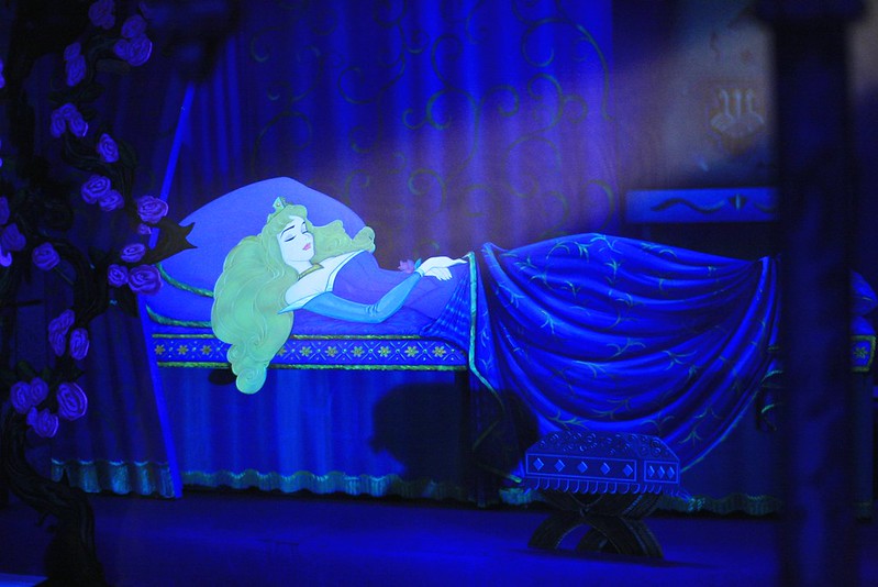 Scenes from the Sleeping Beauty