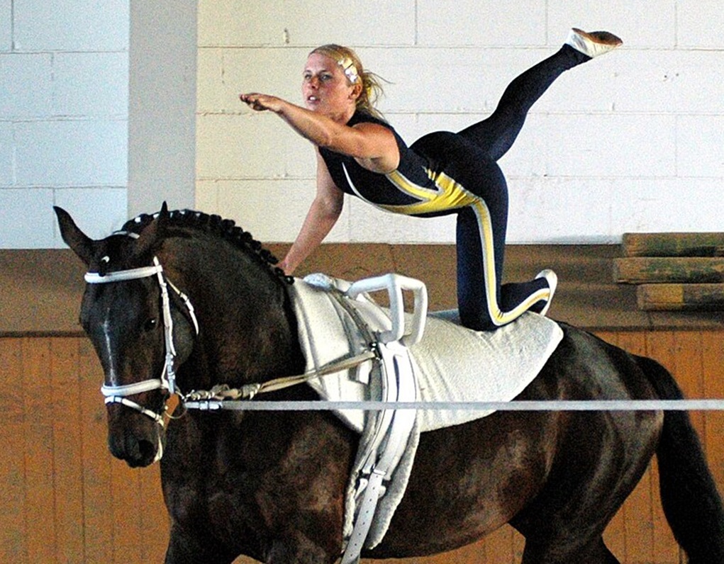 Vlag Equestrian Vaulting
