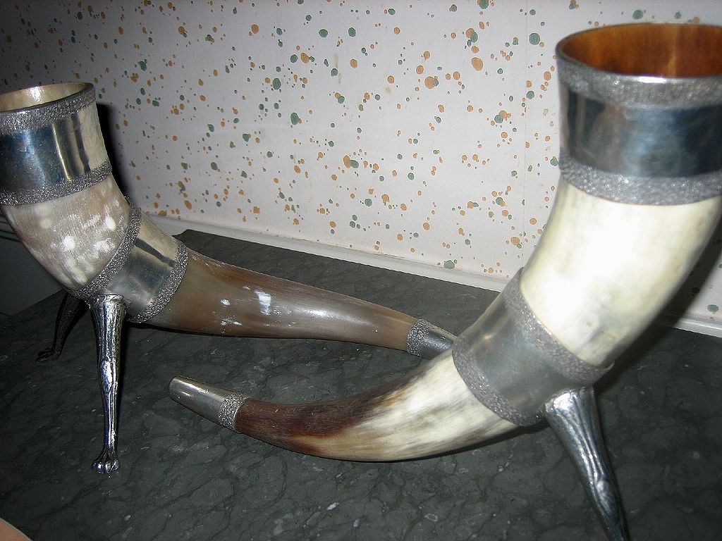 Drinking horns from the Viking age.