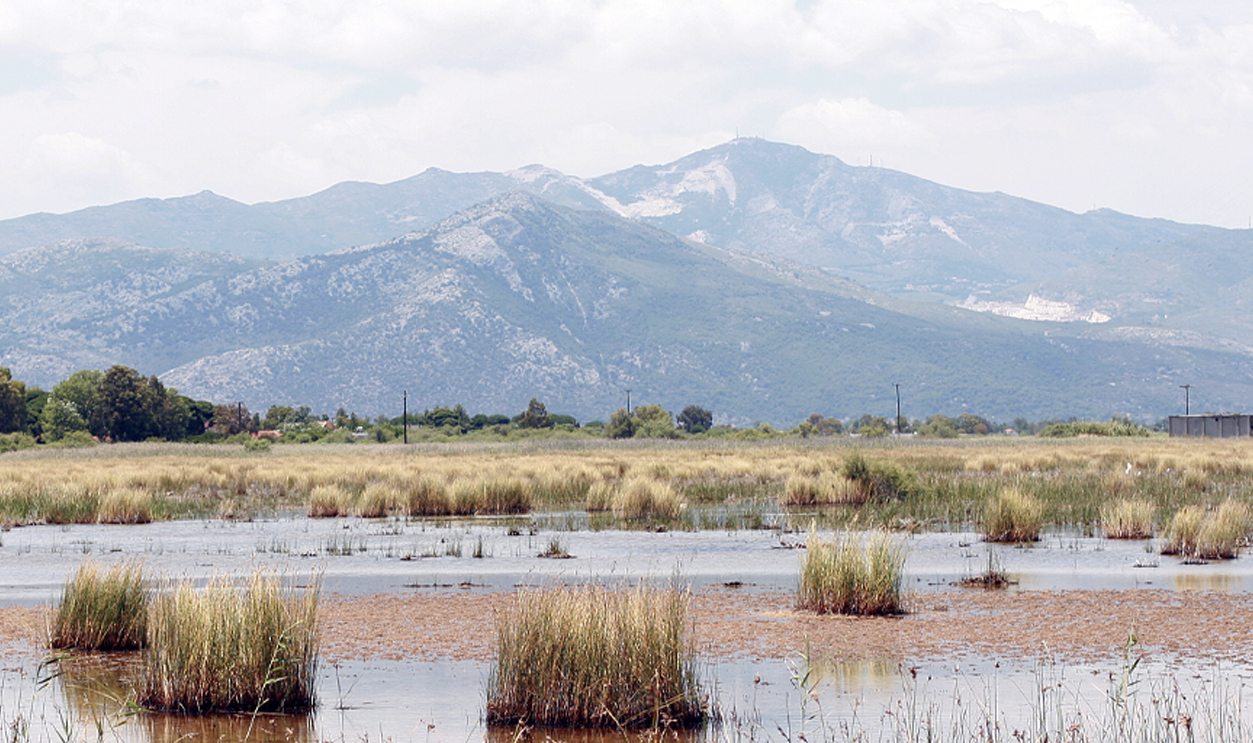 Marshlands of Marathon, with Pentelikon mountains in the background