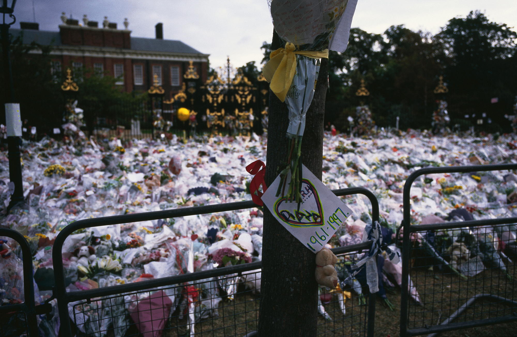 In an overwhelming outpouring of grief and sympathy, over one million bouquets of flowers were left at Kensington Palace, Buckingham Palace, and St. James's Palace after the tragic automobile accident on August 31, 1997 in which Diana, Princess of Wales, was killed. The flowers, stuffed animals, and even bottles of champagne were collected and distributed to children and to the sick and elderly in hospitals and homes. Cards and signs, such as the one in this image, are being kept and preserved by the Spencer family until they decide how to display them. 