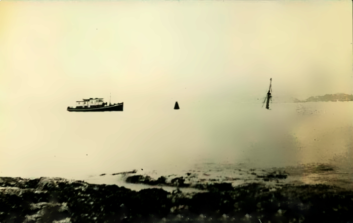 Princess Sophia Wrecked Near Buoy