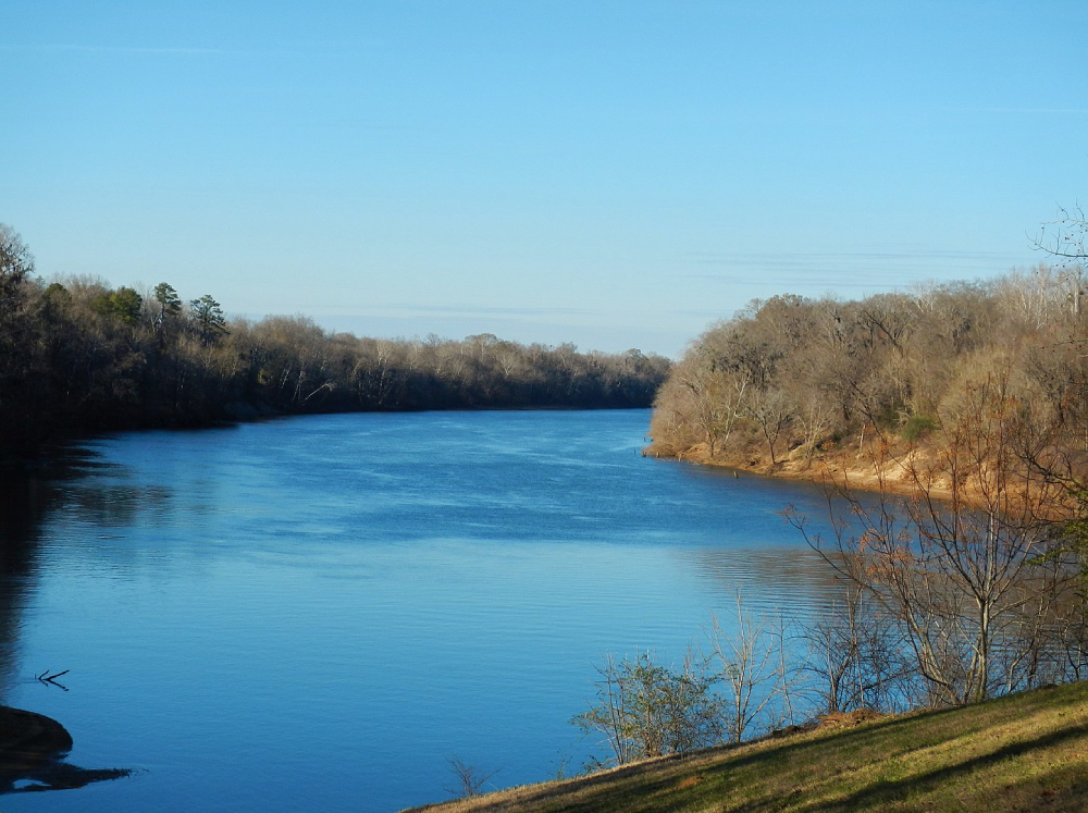 Alabama River At Benton Park