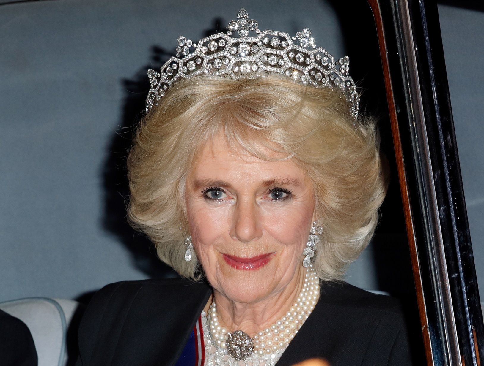 Camilla, Duchess of Cornwall attends the annual Diplomatic Reception at Buckingham Palace - 2017