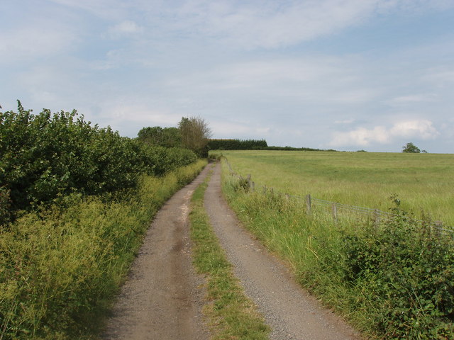 Road to a farm
