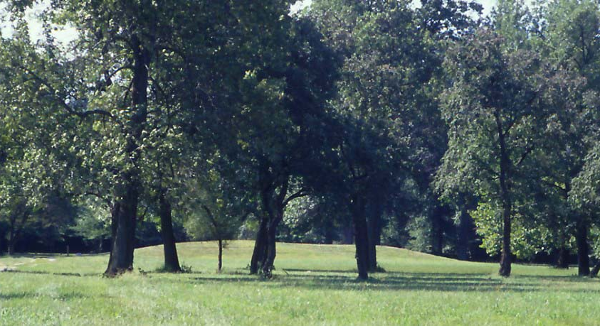 Cahokia Mound 72