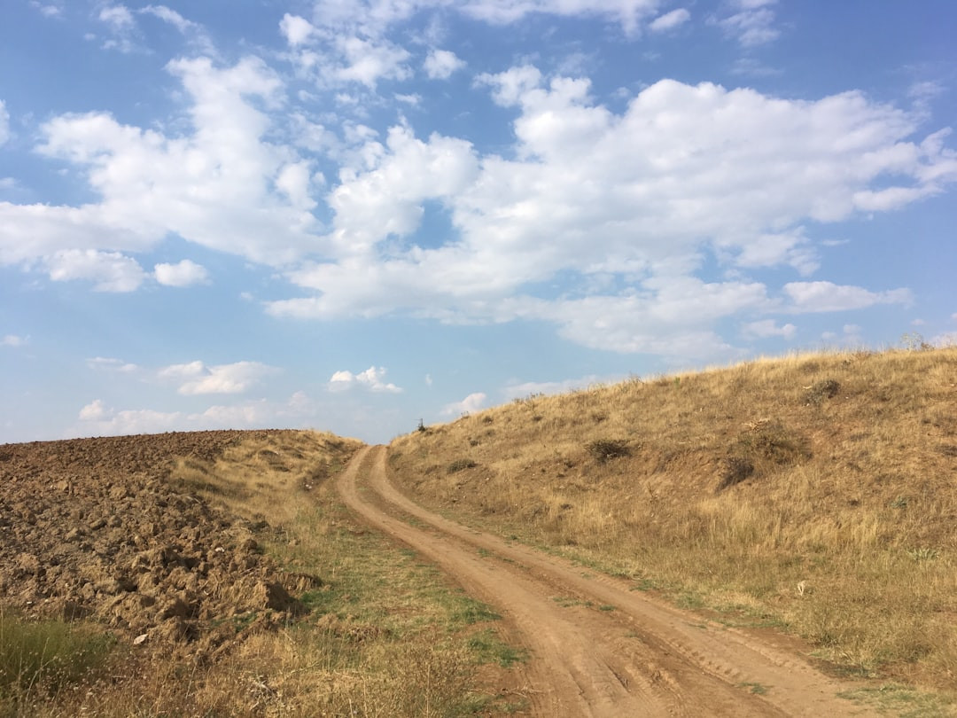 a dirt road in the middle of a field