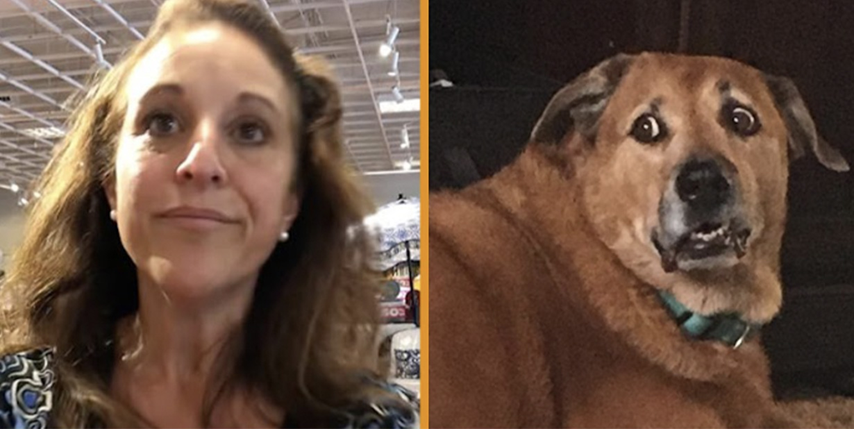 Woman and dog split image