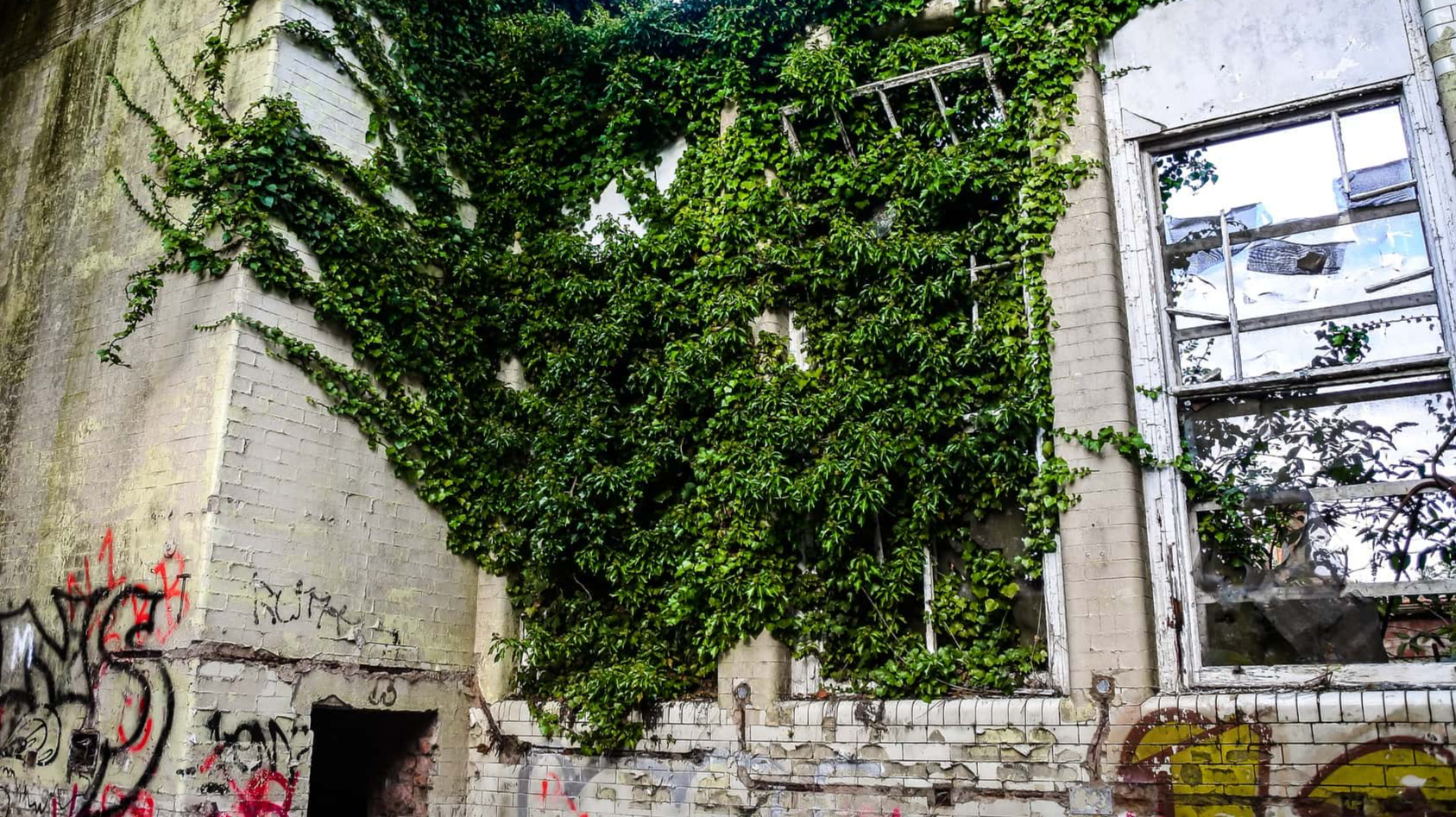 Nurses Ghost Stories Facts