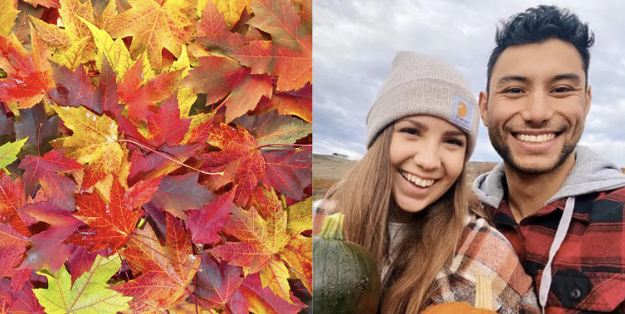 leaves and couples selfie split image