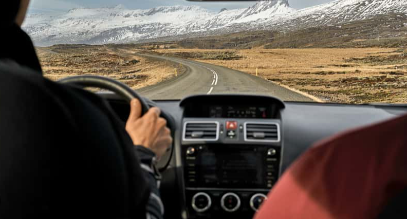 Bad Gut Reactions facts