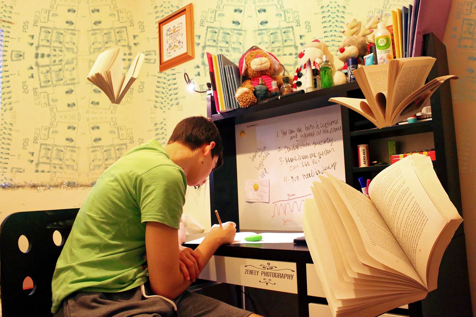 Boy  sitting at a desk at home studying