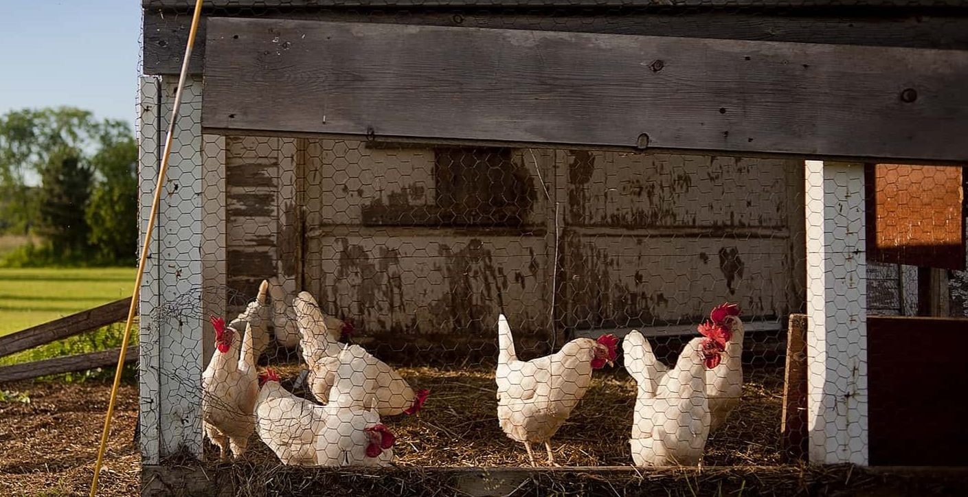 Instantly Ended a Case facts