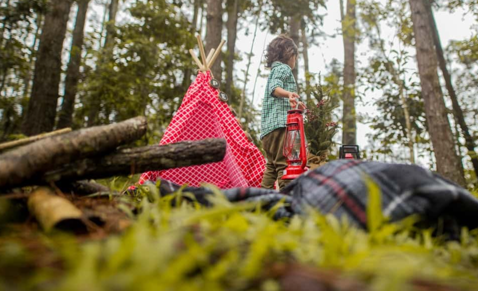 Secrets from the grave