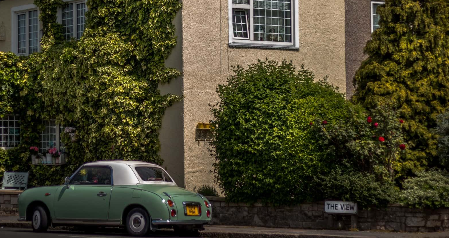 Lawyers ridiculous cases