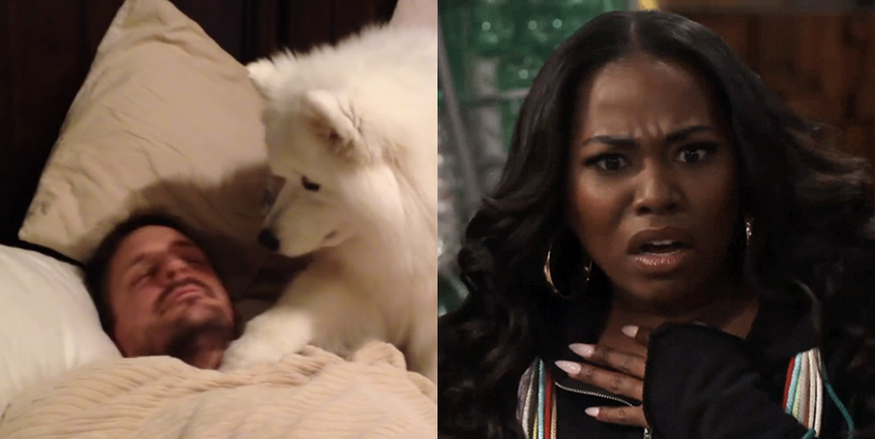 Dog and man in bed and shocked woman split image