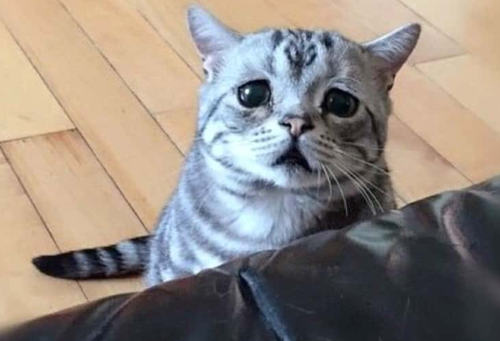 Disney Employees the Weirdest Thing They’ve Seen facts