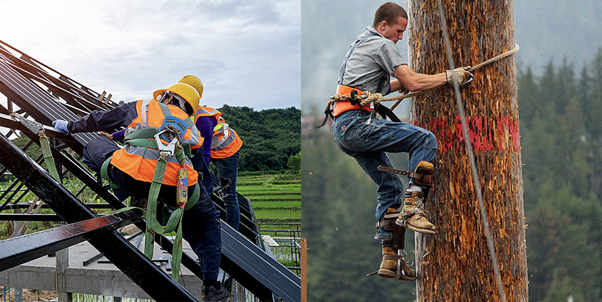 Dangerous Jobs Split Gallery