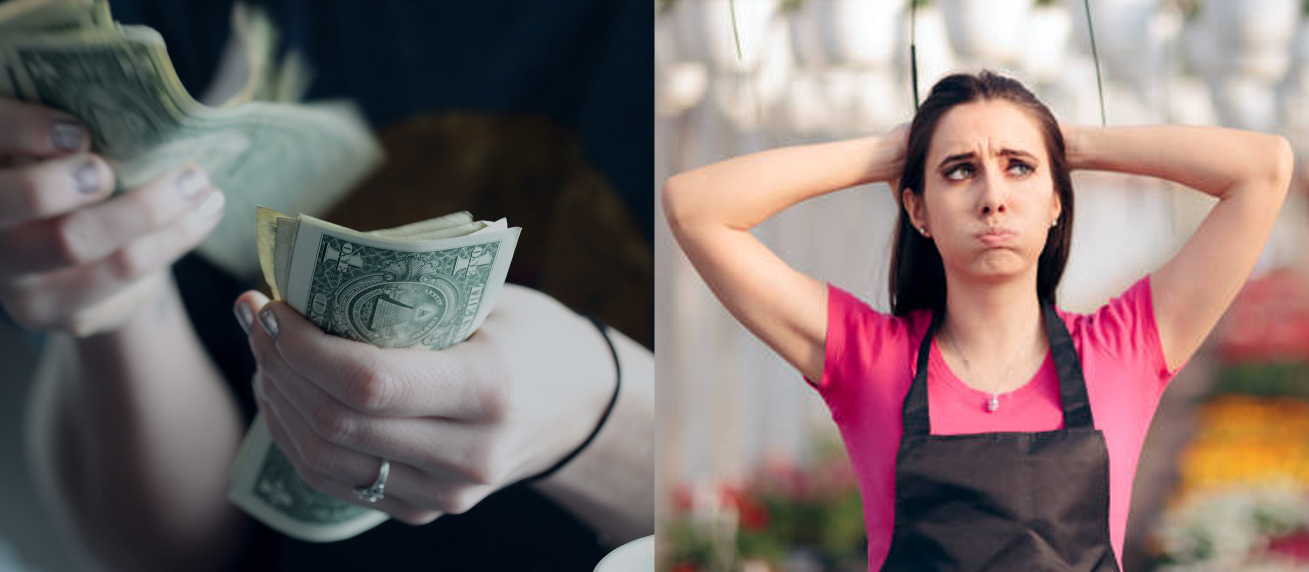 Cash and frustrated gardener split image
