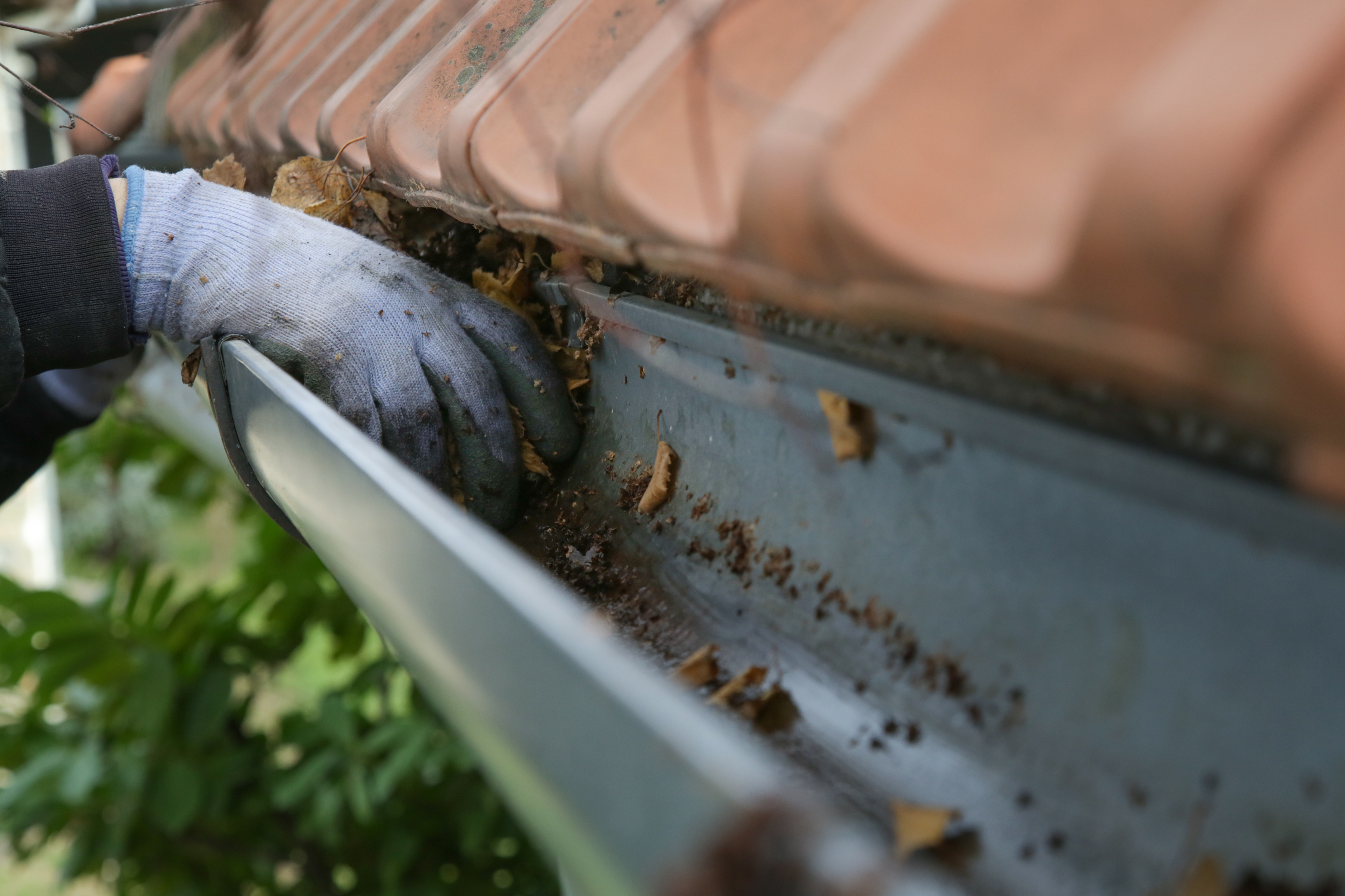 Remove leaves from gutters