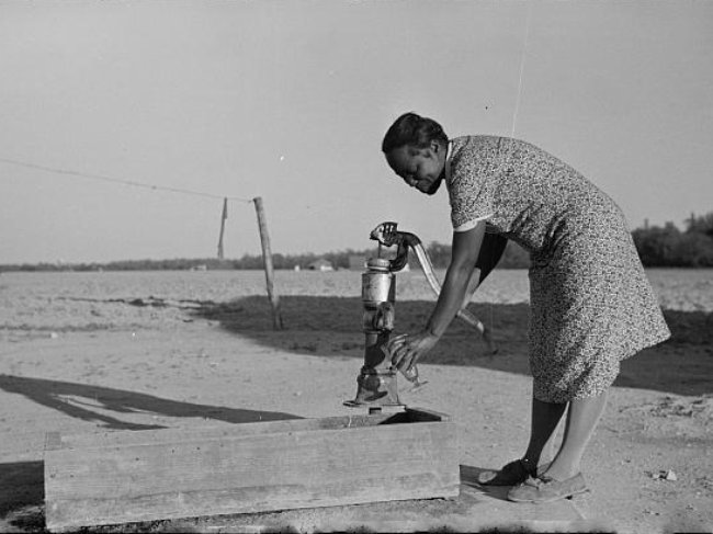 Wife Of Resettled Farmer, Roanoke Farms, North Carolina